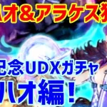 【ロマサガＲＳ】20210511　GW記念UDXガチャ ダーハオ編？アラケス編？ダーハオとアラケス狙ってﾋｸｿﾞｰ!!【ロマサガリユニバース】【ロマンシングサガリユニバース】