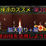 【ロマサガRS】20210723　練達のススメ第20弾！脳天割り＋編。生まれ変わった練達術技を活用しようぜ！！！【ロマサガリユニバース】【ロマンシングサガリユニバース】