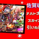 【ロマサガRS】課金したのにアイツに煽られた…泣　佐賀魂ガチャをナハトズィーガー・スカイア狙いで引いた結果 ロマンシングサガリユニバース 限定ガチャ ネーベルスタン セルマ