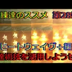 【ロマサガRS】20210809　練達のススメ第28弾！ヒートウェイヴ＋編。生まれ変わった練達術技を活用しようぜ！！！【ロマサガリユニバース】【ロマンシングサガリユニバース】