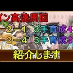 【ロマサガRS】メイン高速周回　5-2-1 5-2-4 ３手周回