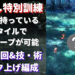 【ロマサガRS】ついに来た育成天国!? 肝試し特別訓練 高速周回&技・術ランク上げ編成を解説 1ターン周回 ロマンシングサガリユニバース