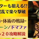 【ロマサガRS】カウンターも狙える！？全体混乱で楽々撃破 追憶の幻闘場～体術の戦録～ ワイバーン ドマファ レベル２０ 高難易度 攻略 パーティ編成 ロマンシングサガリユニバース