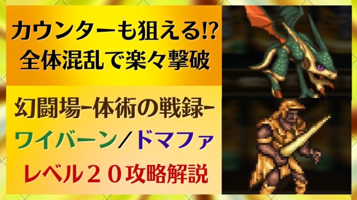 【ロマサガRS】カウンターも狙える！？全体混乱で楽々撃破 追憶の幻闘場～体術の戦録～ ワイバーン ドマファ レベル２０ 高難易度 攻略 パーティ編成 ロマンシングサガリユニバース