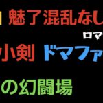 【ロマサガRS】小剣 Lv20 VSドマファ 混乱・魅了なし【追憶の幻闘場】