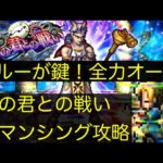 【ロマサガRS】時の君との戦い　全力オート【新ブルー】