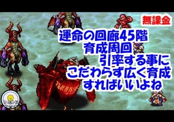 運命の回廊45階 育成周回 引率にこだわらず広く育成します【ロマサガRS】【無課金】