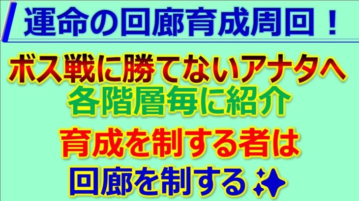 【ロマサガRS】廻れ!運命の回廊周回一気に紹介！11～45F 周回紹介！戦闘力周回も✨【ロマンシング サガ リユニバース】