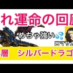 【ロマサガ RS】廻れ運命の回廊18層シルバードラゴン！これは強い💦【ロマンシングサガリユニバース】