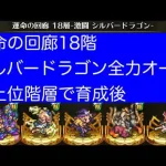 【ロマサガRS】運命の回廊18階シルバードラゴン全力オート攻略【育成後】