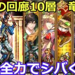 【ロマサガＲＳ】運命の回廊10層　竜騎士　全力でシバく！！