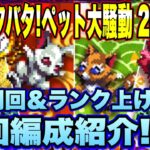 【ロマサガＲＳ】新春ドタバタ！ペット大騒動20（UH）私の2手周回編成と自動周回ランク上げ編成紹介！【ロマサガリユニバース】【ロマンシングサガリユニバース】