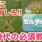 ゼルダの伝説 ティアーズ オブ ザ キングダムは絶対にプレイしろ‼︎AI時代に生き残れないぞ‼︎【ゼルダの伝説　ティアーズ オブ ザ キングダム】