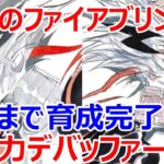 【ロマサガRS】ファイアブリンガーを限界まで育成してバトルに挑戦　超火力万能デバッファー降臨【ロマサガ リユニバース】【ロマンシングサガ リユニバース】