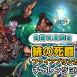 【ロマサガRS】緋の死闘-ファイアブリンガーチャレンジ3攻略とギミック解説【ロマンシング サガ リユニバース】