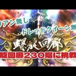 【ロマサガRS】螺旋回廊230階に挑戦！ユリアン&クイーン無しでの立ち回り【ゆっくり】【ロマンシングサガリユニバース】