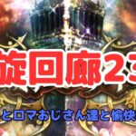 【ロマサガRS】螺旋回廊230階！【初見さん大歓迎】【悩み相談承ります】