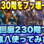 【ロマサガRS】螺旋回廊230階をぶっ壊ーす！？SS鬼八を螺旋回廊230階で使ってみた！【ロマンシングサガリユニバース】