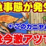 【ロマサガRS】今やらないと後悔案件！？制圧戦レイド周回が激アツだった件について【ロマンシング サガ リユニバース】