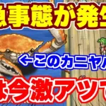 【ロマサガRS】今やらないと後悔案件！？制圧戦レイド周回が激アツだった件について【ロマンシング サガ リユニバース】