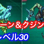 ロマサガRS 追憶の幻闘場 レベル30 クィーン＆クジンシー 斧の戦録