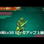 【ロマサガRS】追憶の幻闘場 ドマファ 体術Lv30