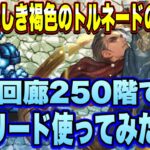 【ロマサガRS】これが美しき褐色のトルネードの実力だ！螺旋回廊250階で新ハリード使ってみた！【ロマンシングサガリユニバース】