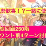 【ロマサガRS】螺旋回廊250階4ターン討伐　パトリック　マリア編成