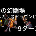 【ロマサガ RS】杖の追憶幻闘場メガリスドラゴンレベル5、9ターン【ロマンシングサガリユニバース】