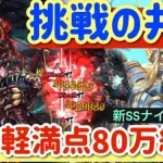 【ロマサガRS】挑戦の井戸！お手軽満点80万編成！ナイトハルトが大活躍【ロマンシングサガリユニバース】