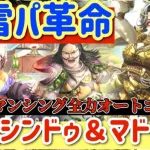 【ロマサガRS】雷パーティ革命！シンドゥ＆マドレーン解説★弦魔ロマンシング全力オート【ロマンシングサガリユニバース】