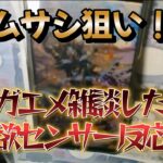 ロマサガRS無課金野郎サガエメガチャ！ムサシ狙い！サガエメ雑談したら物欲センサー大反応【ビヨンド雑談】