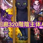 【ロマサガRS】螺旋回廊320階　陰攻略