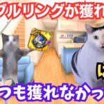 【猫ミーム】ドロップ率が低すぎる!? SSノーブルリングが獲れた猫と獲れない猫 5.5周年 制圧戦 ロマサガ3 ロマンシングサガリユニバース #猫マニ　#猫ミーム #ロマサガRS