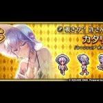 【ロマサガRS】視聴メダルカタリナお試し 幻闘場/大剣 [H]ブッチャー Lv5