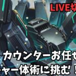 【ロマサガRS】バフ・カウンターお任せ！ブッチャー体術に挑む！【LIVE切り抜き】