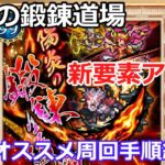 【ロマサガＲＳ】新要素アリ！陽炎の鍛錬道場オススメ周回方法紹介！