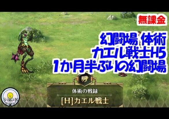 幻闘場｢カエル戦士 H5｣[体術]１か月半ぶりの幻闘場【ロマサガRS】【無課金】【攻略】