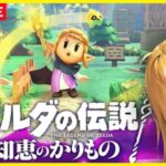 【神ゲー発掘枠】ゼルダの伝説　知恵のかりもの　初見プレイ