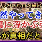 【ロマサガRS】引退！当然押し寄せてきた脳裏に浮かぶこの2文字！運営の本音はこれだと思う！【リユニバース】