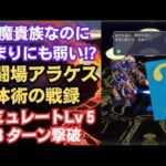 【悲報】幻闘場アラケスさん、弱かったwww ロマサガRS 体術の戦録 追憶の幻闘場 シミュレートレベル５ 陣形：オーバーアクセラレート 高難易度 ロマンシングサガリユニバース【無課金】