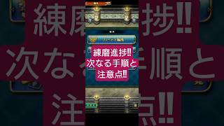 【ロマサガRS】錬磨進捗…その手順でOK!?いま錬磨のバリエーションが整ってきて今注意すべき点を軽くまとめ　#ロマサガRS