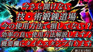 【ロマサガRS】今さら聞けない 技・術 鍛錬道場　効率の良い使用方法を解説します！概要欄にタイムスタンプ有ります【ロマンシングサガリユニバース】【ランク 上げ】