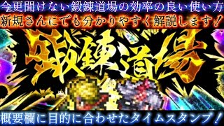 【ロマサガRS】今更聞けない 技ランク 鍛錬道場 の効率の良い使い方(改訂版)、概要欄に目的に合わせたタイムスタンプ！【ロマンシングサガリユニバース】【周回】