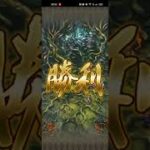 【ロマサガRS】無尽塔30層サンディーヌ 260927