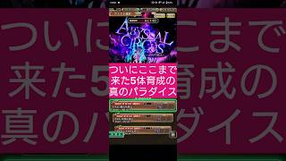 【ロマサガRS】EX4.全員集結「え?」ワンパン7秒!!力秘めし神楽鈴錬磨石はココ　#ロマサガRS